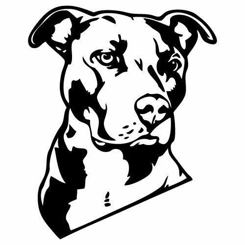 Kit adesivi tuning pitbull - adesivi,